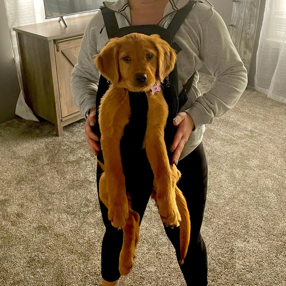 Pawaboo Pet Carrier Backpack